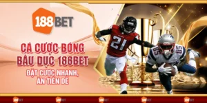 Cá cược bóng bầu dục 188Bet - Đặt cược nhanh, ăn tiền dễ