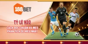 Tỷ lệ kèo - Cách đọc chuẩn và mẹo phân tích dễ hiểu nhất