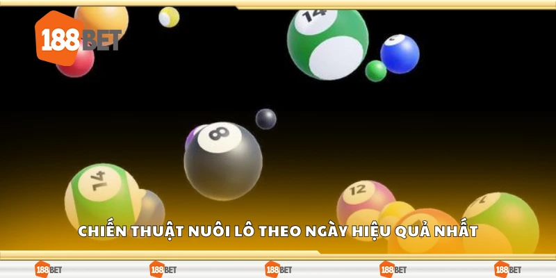 Các chiến thuật nuôi lô theo ngày hiệu quả nhất