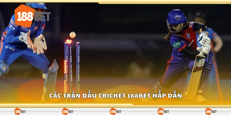 Các trận đấu cricket 188Bet hấp dẫn