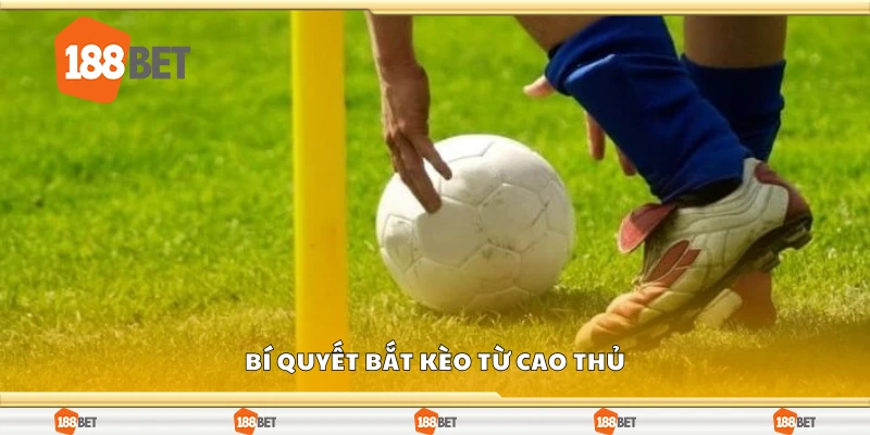 Chia sẻ bí quyết bắt kèo hiệp 1 từ cao thủ
