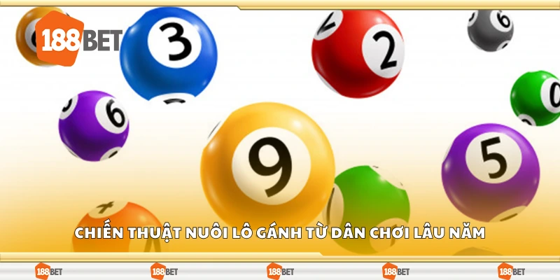 Chiến thuật nuôi lô gánh từ dân chơi lâu năm