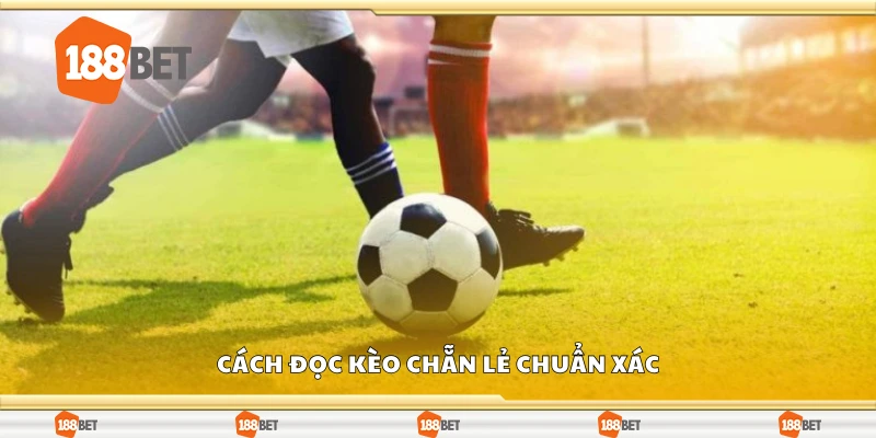 Hướng dẫn đọc kèo chẵn lẻ chuẩn xác