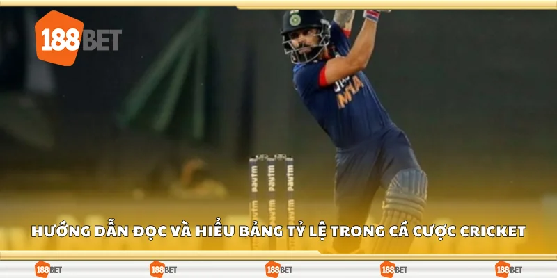 Hướng dẫn đọc và hiểu bảng tỷ lệ cược trong cá cược cricket