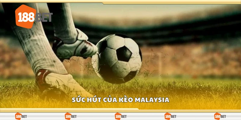 Khám phá sức hút riêng của kèo Malaysia