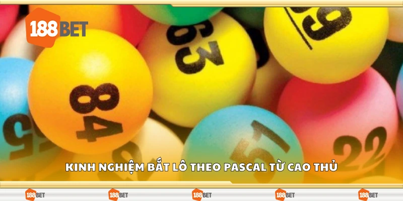Kinh nghiệm bắt lô theo Pascal từ cao thủ