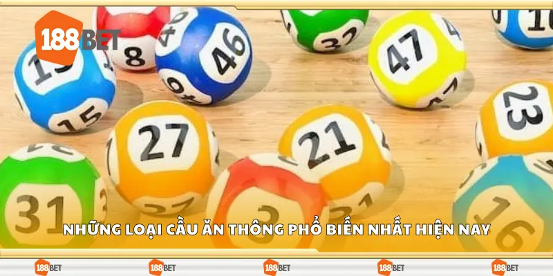 Những loại cầu ăn thông phổ biến nhất hiện nay