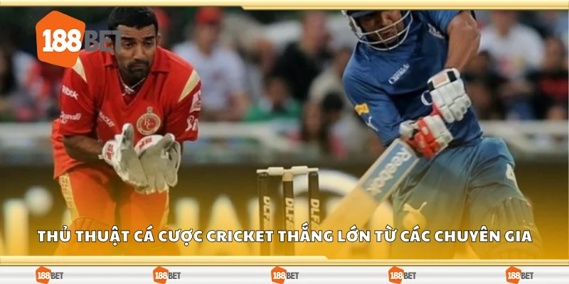 Thủ thuật cá cược cricket thắng lớn từ các chuyên gia