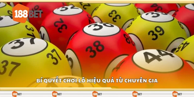 Bí quyết chơi lô hiệu quả từ chuyên gia