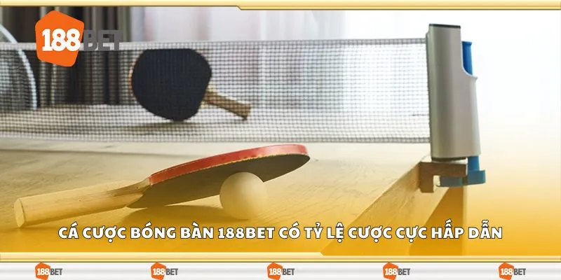 Cá cược bóng bàn 188Bet có tỷ lệ cược cực hấp dẫn