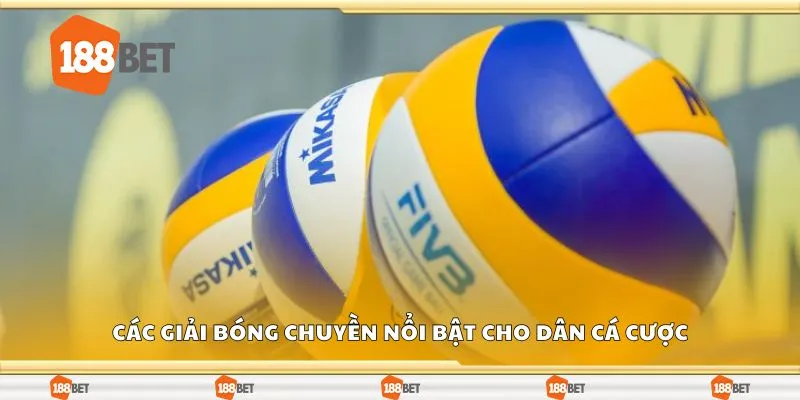 Các giải bóng chuyền nổi bật cho dân cá cược
