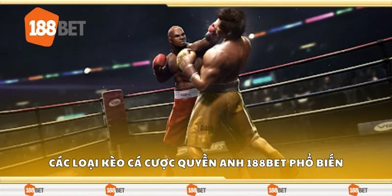 Các loại kèo cá cược quyền anh 188Bet phổ biến