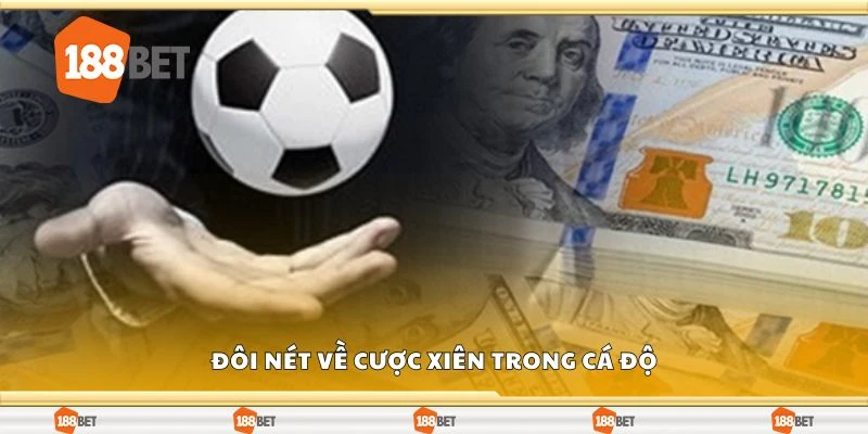 Đôi nét về cược xiên trong cá độ
