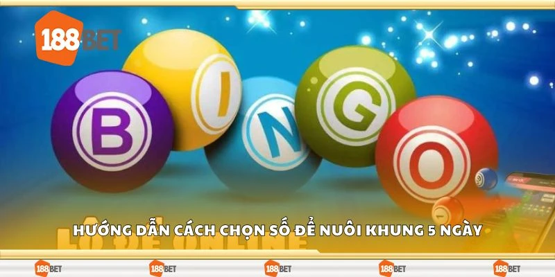 Hướng dẫn cách chọn số để nuôi khung 5 ngày