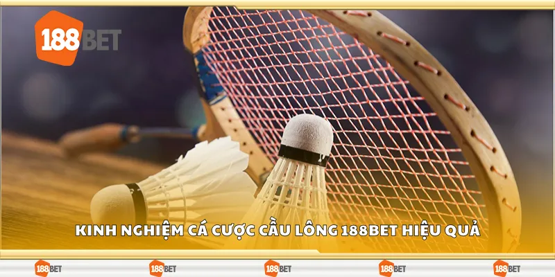 Kinh nghiệm cá cược cầu lông 188Bet hiệu quả