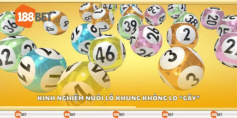 Kinh nghiệm nuôi lô khung không lo “gãy”