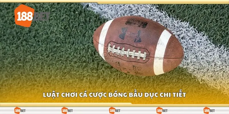 Luật chơi cá cược bóng bầu dục chi tiết