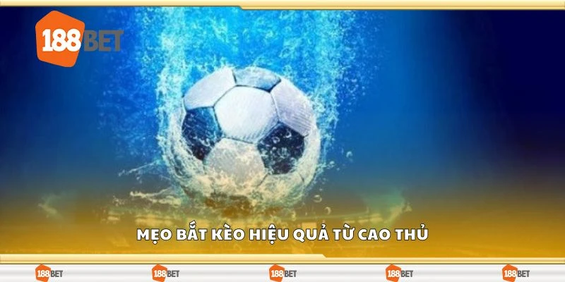 Mẹo bắt kèo hiệu quả từ cao thủ