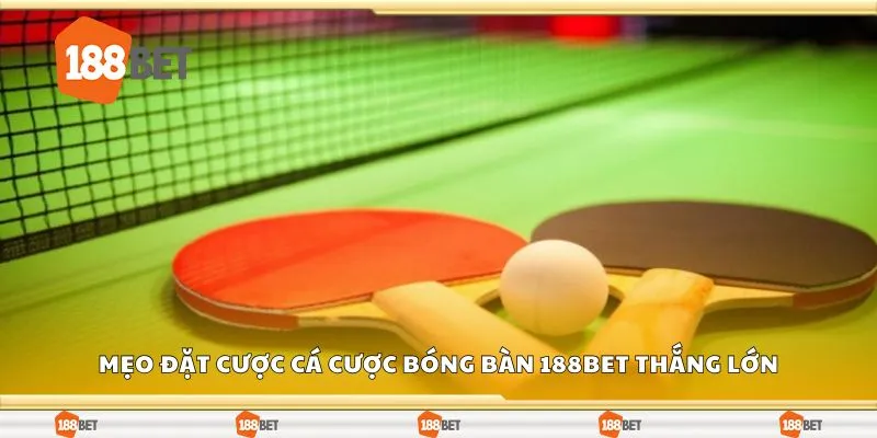 Mẹo đặt cược cá cược bóng bàn 188Bet thắng lớn
