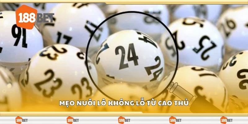 Mẹo nuôi lô không lỗ từ cao thủ