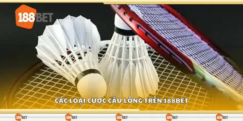 Một số loại cược cầu lông trên 188Bet