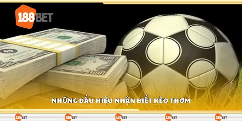 Những dấu hiệu nhận biết kèo thơm