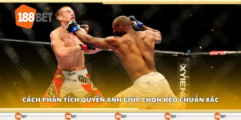 Phương pháp phân tích quyền anh giúp chọn kèo chuẩn xác