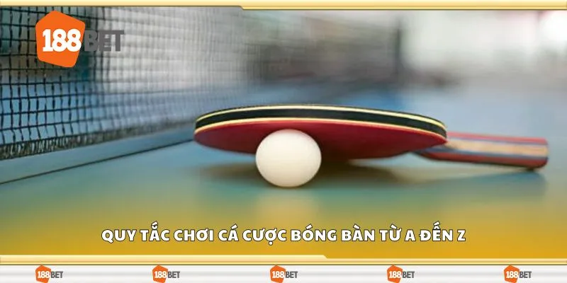 Quy tắc chơi cá cược bóng bàn từ a đến z