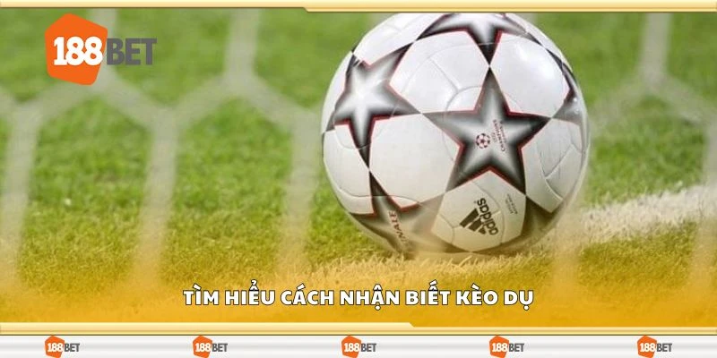 Tìm hiểu cách nhận biết kèo dụ