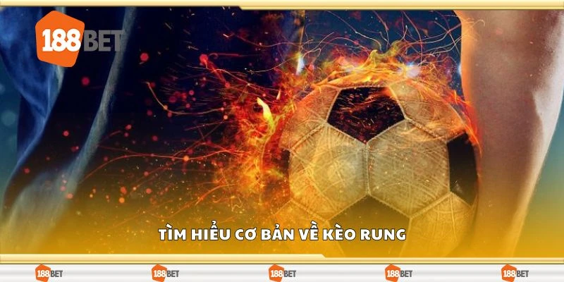 Tìm hiểu cơ bản về kèo rung