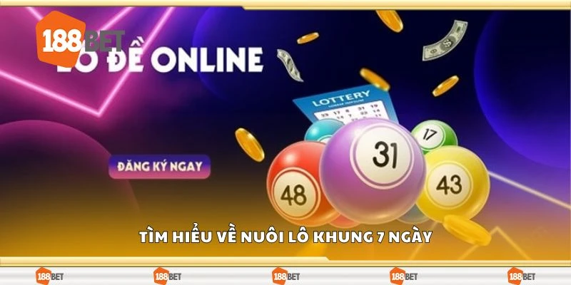 Tìm hiểu về nuôi lô khung 7 ngày