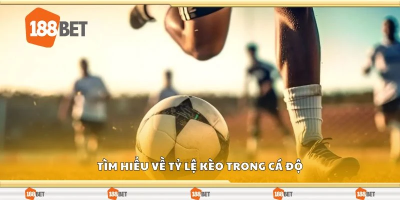 Tìm hiểu về tỷ lệ kèo trong cá độ