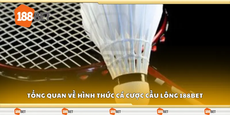 Tổng quan về hình thức cá cược cầu lông 188Bet