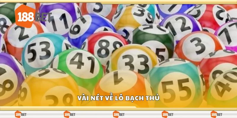 Vài nét về lô bạch thủ